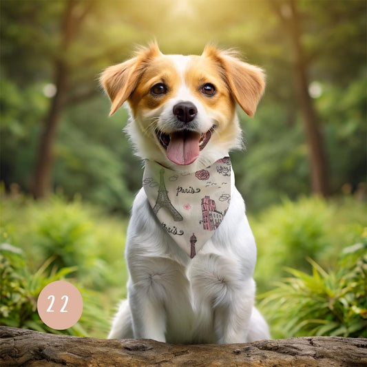 Dog Bandanas: Stylish Accessories for Your Furry Friend | trendy, cute, fun, customizable